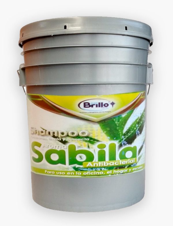 Cubeta de Shampoo para manos marca Mi Brillo